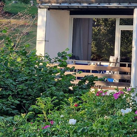 Gemuetliche Moderne Ferienwohnung Inkl. Wlan In St Andreasberg/Braunlange Sankt Andreasberg Exterior foto