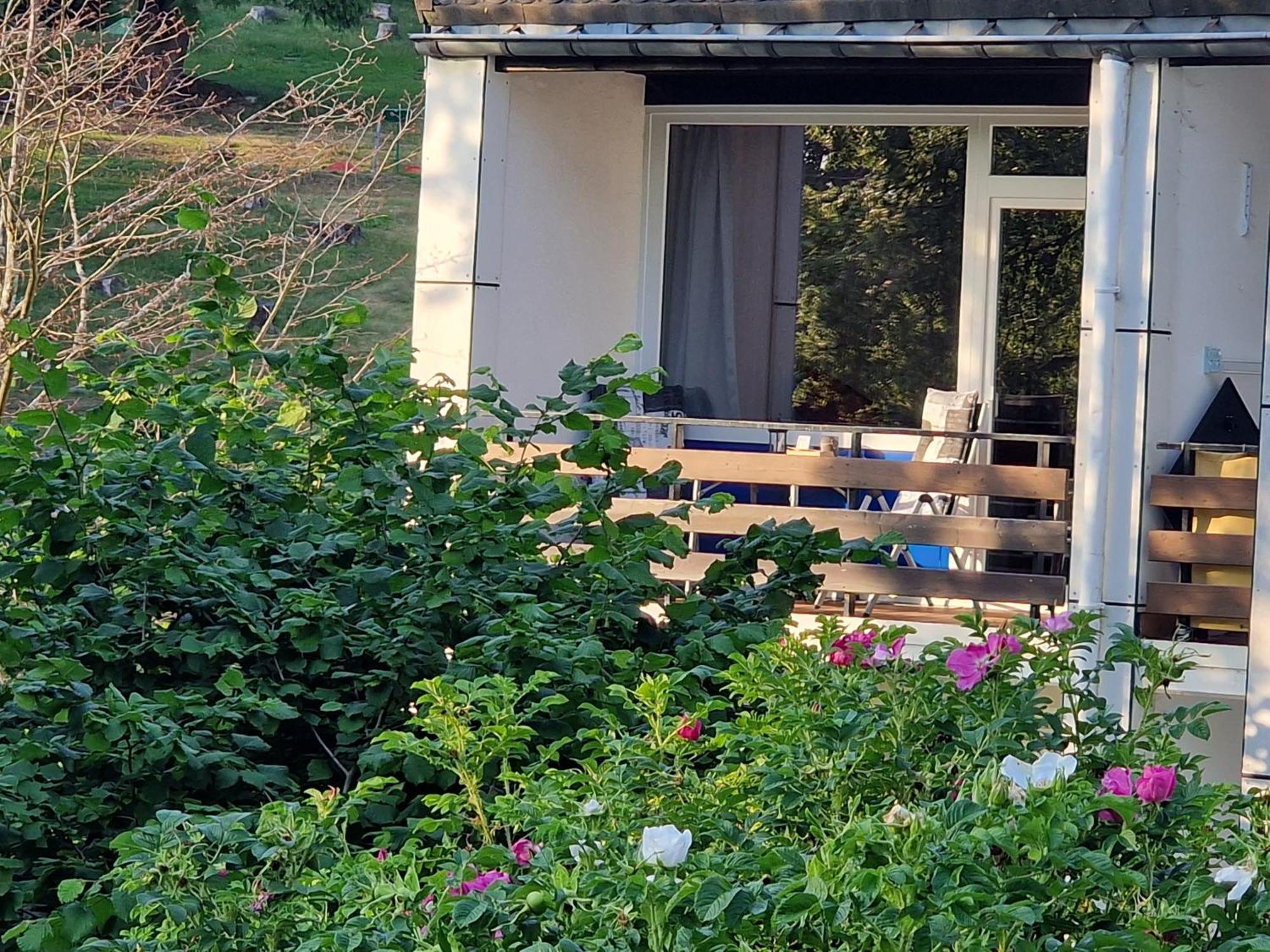 Gemuetliche Moderne Ferienwohnung Inkl. Wlan In St Andreasberg/Braunlange Sankt Andreasberg Exterior foto